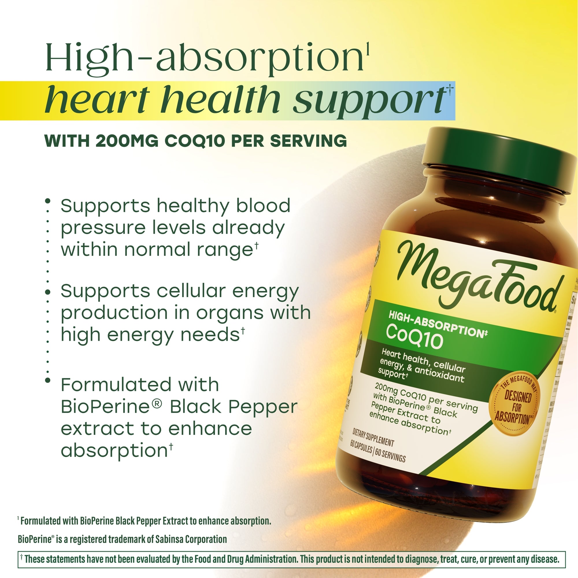 High Absorption CoQ10