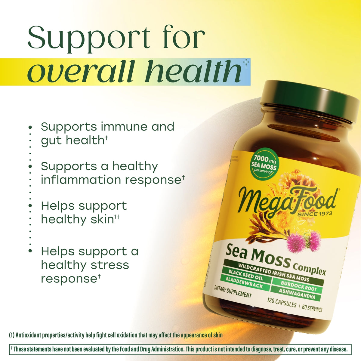 Sea Moss Complex