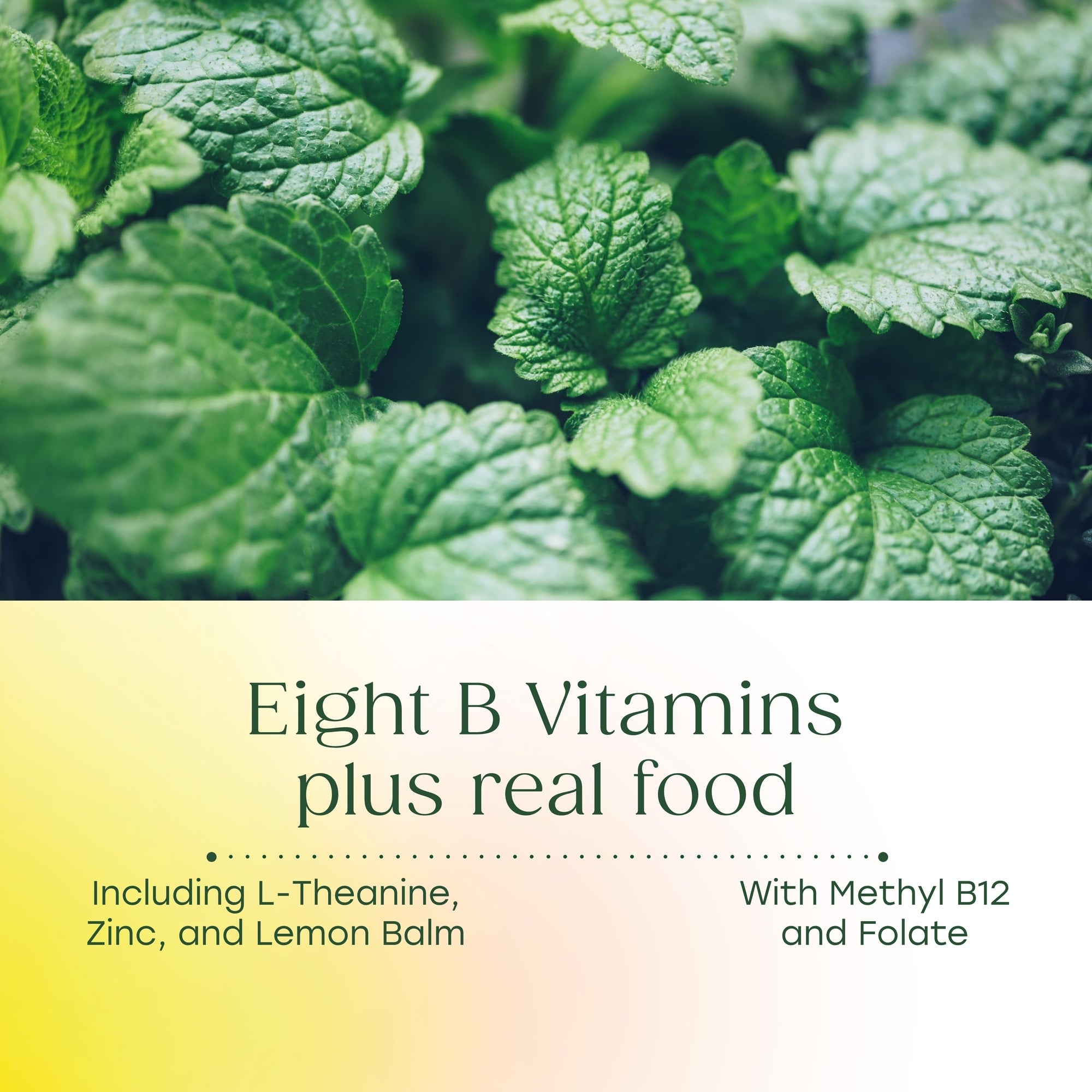 Eight B Vitamins plus real food