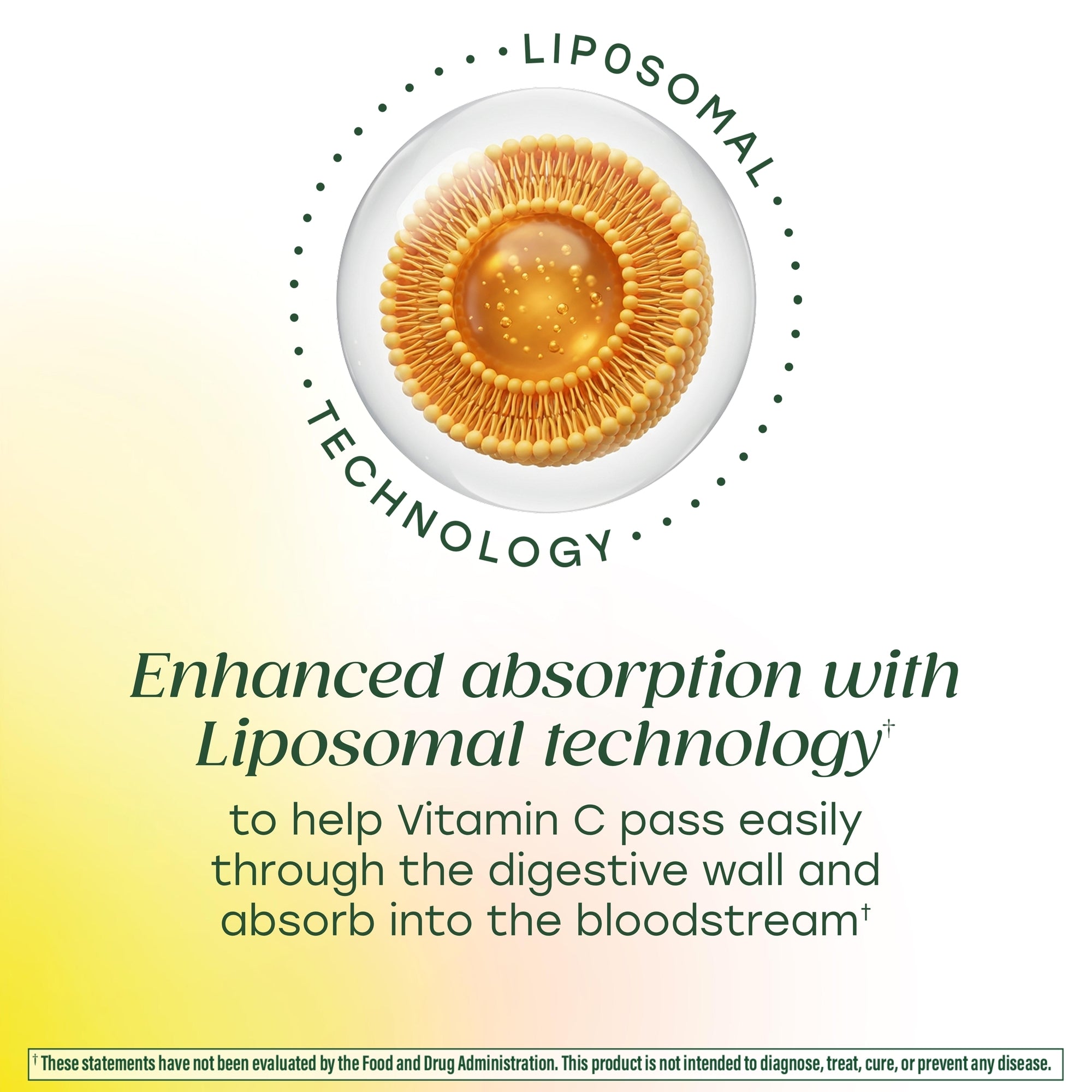 Enhanced absorption with Liposomal technology