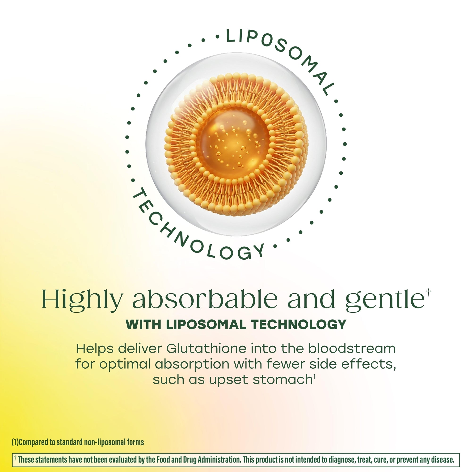 Highly absorbable and gentle with liposomal technology