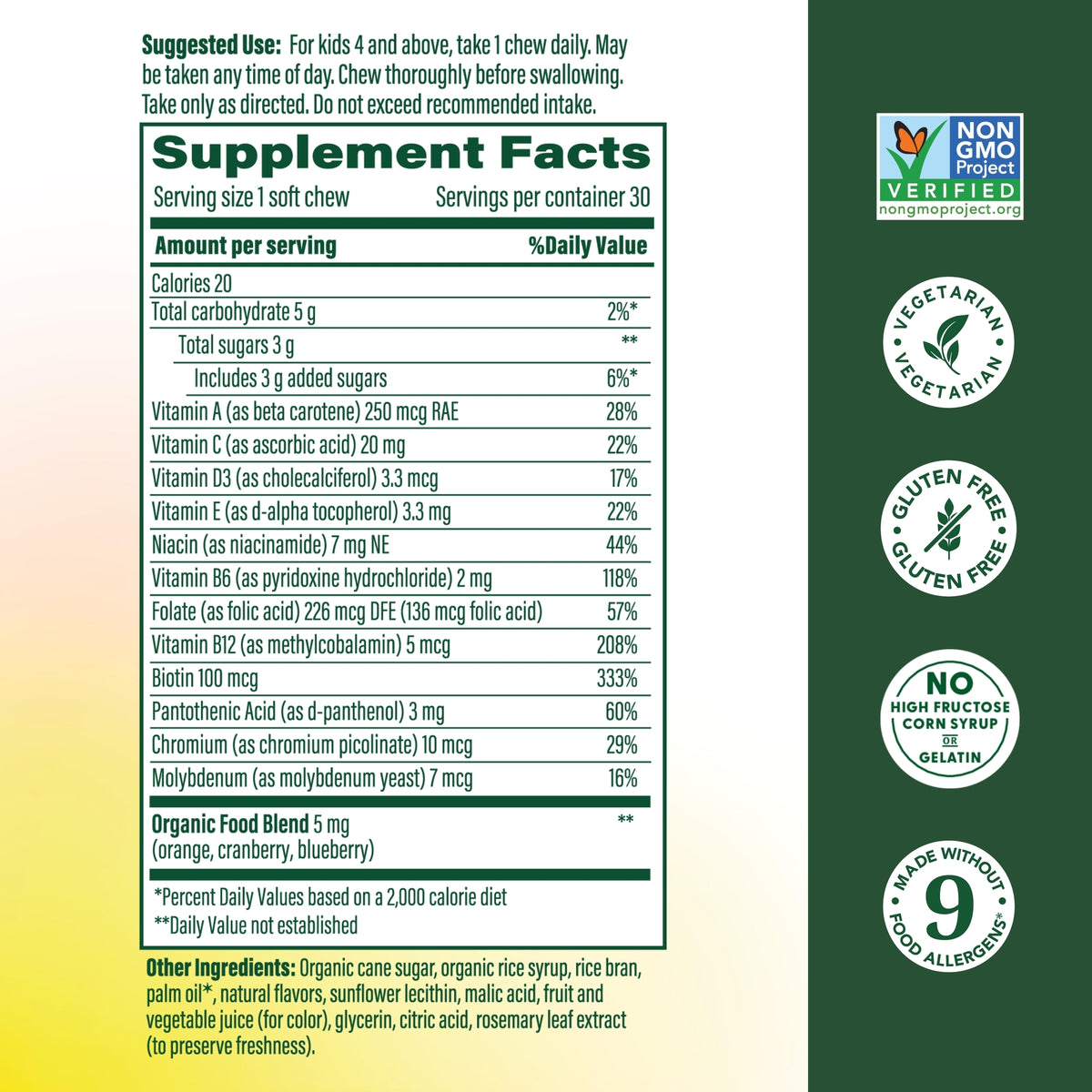 Kids One Daily Multivitamin Soft Chews