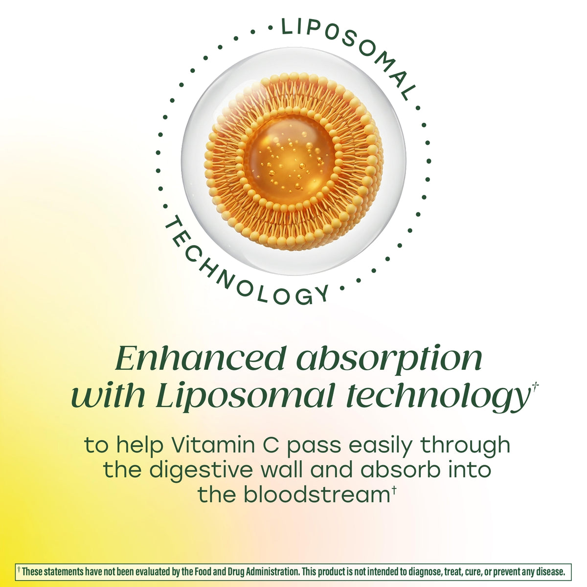 Liposomal Vitamin C