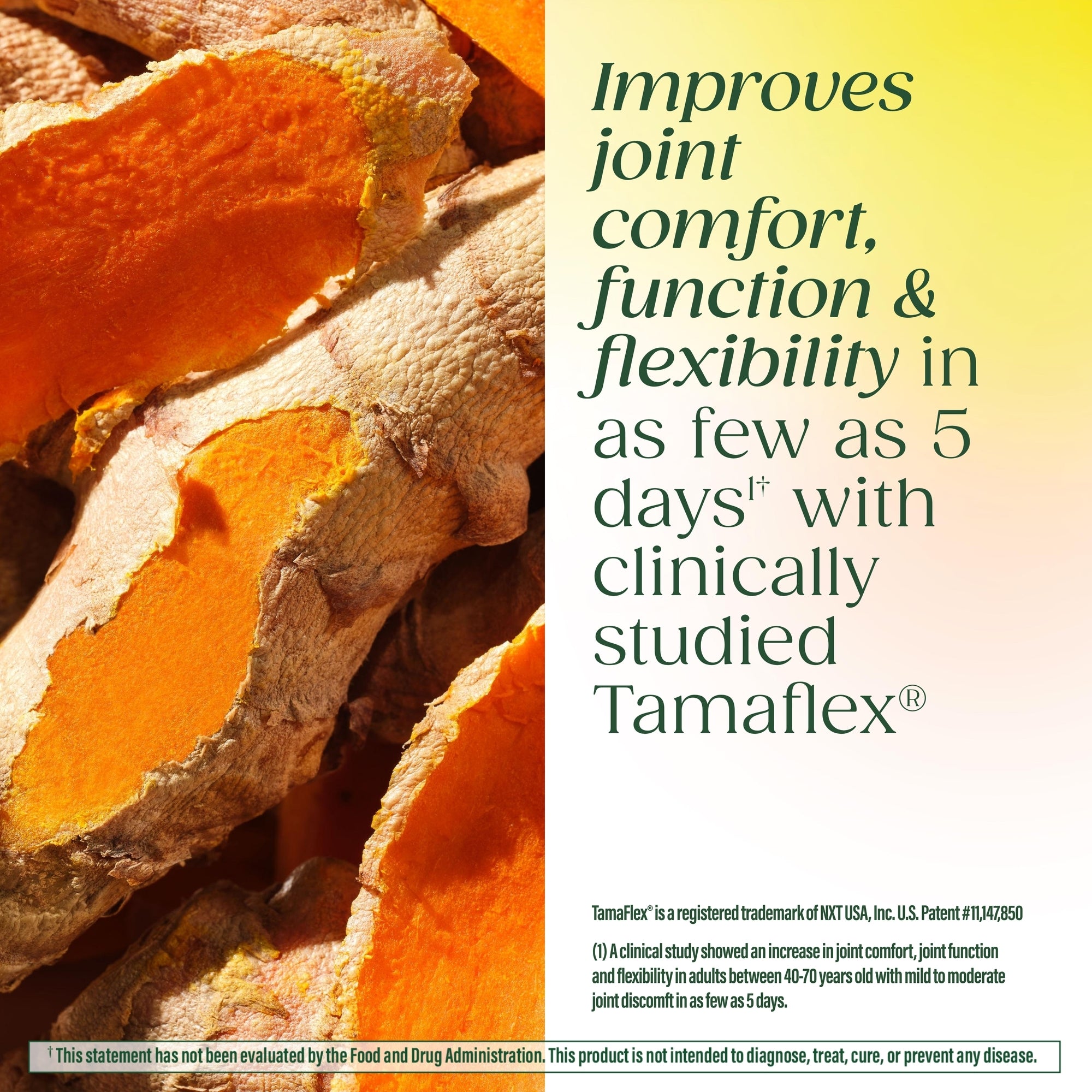 Improves joint comfort, function, and flexibility in as few as 5 days with clinically studied Tamaflex
