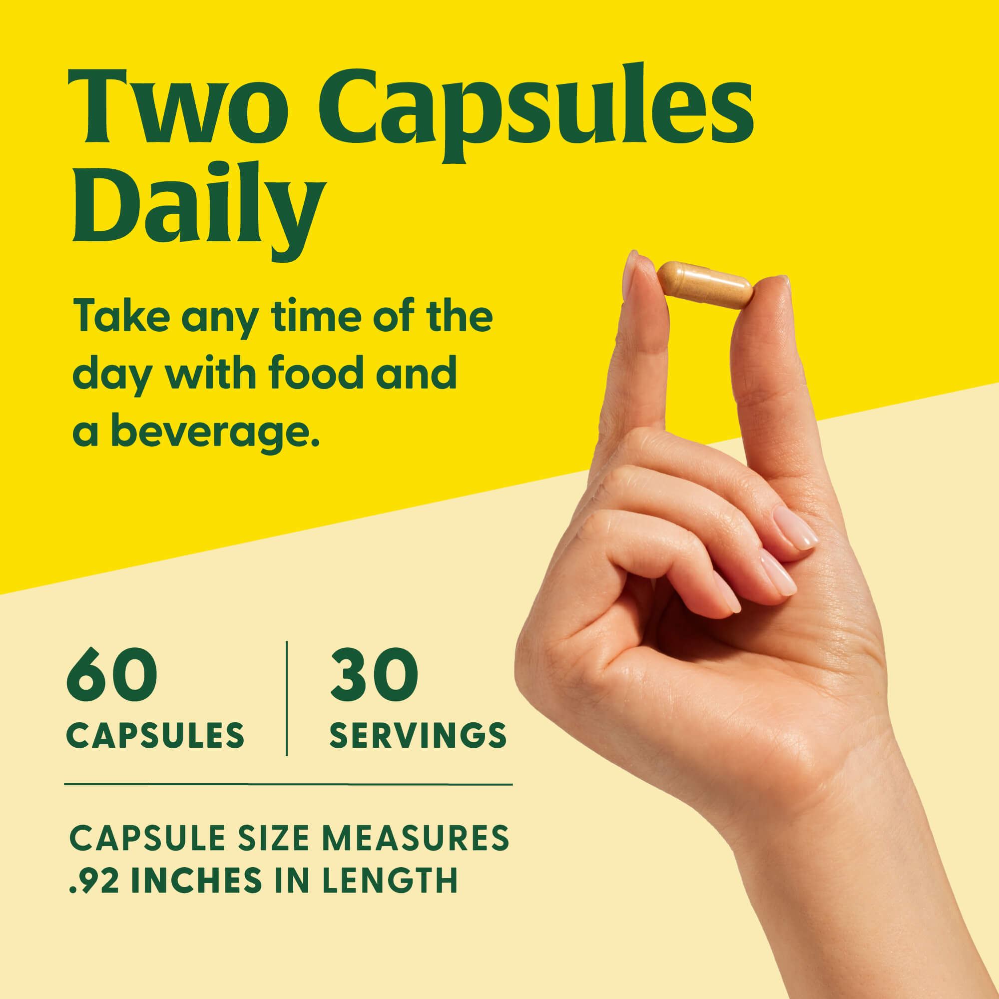 Superfood Mushroom Energy Support†