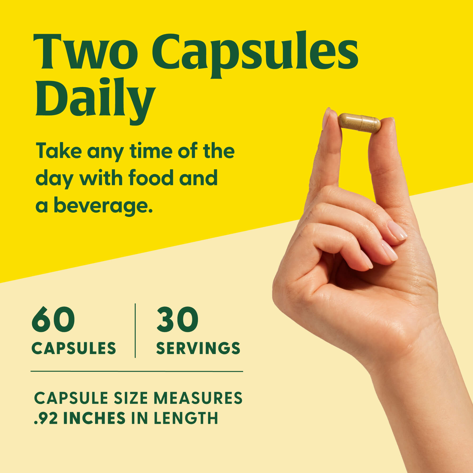 Superfood Mushroom Focus Support†