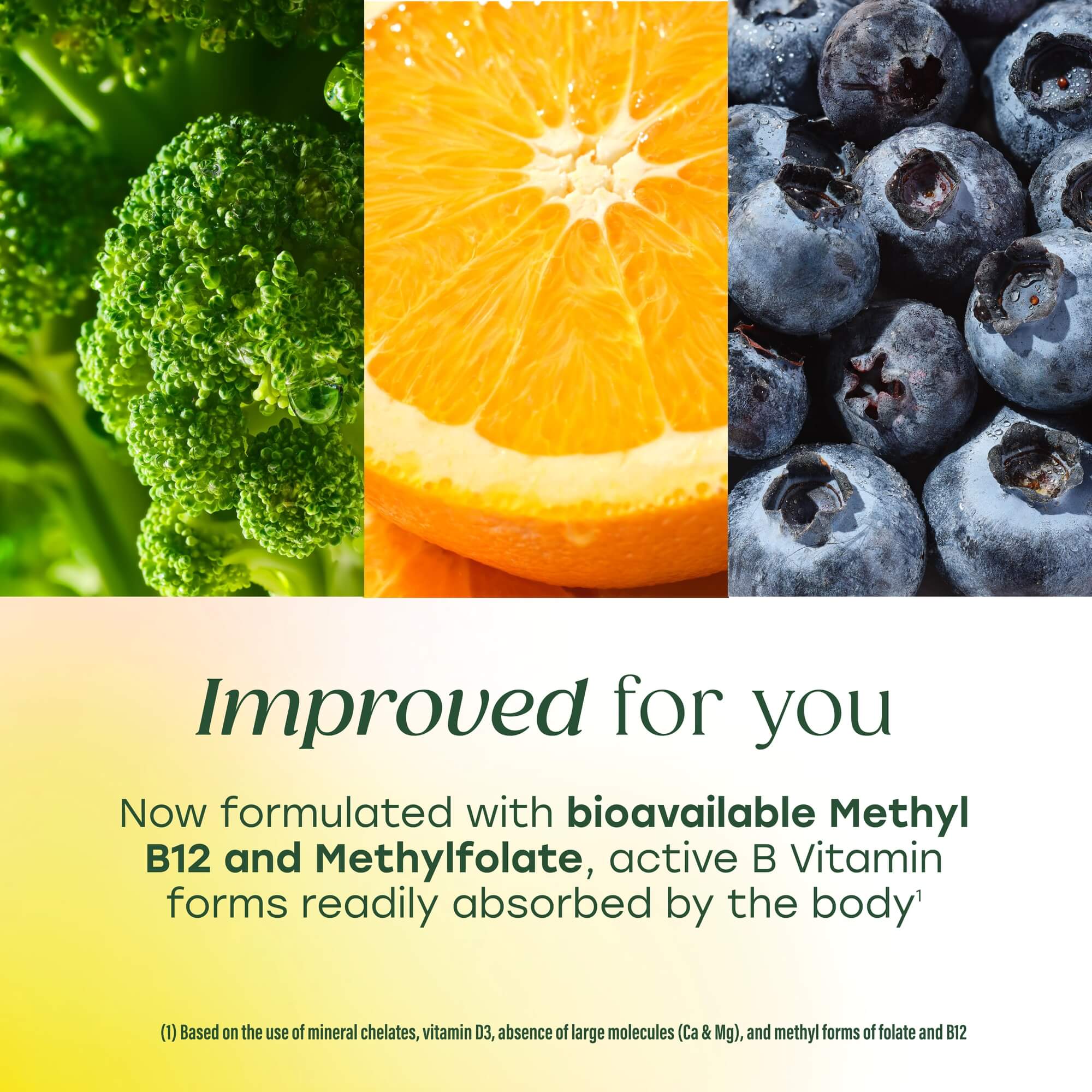 Men's One Daily 40+ has bioavailable Methyl B12 and Methylfolate