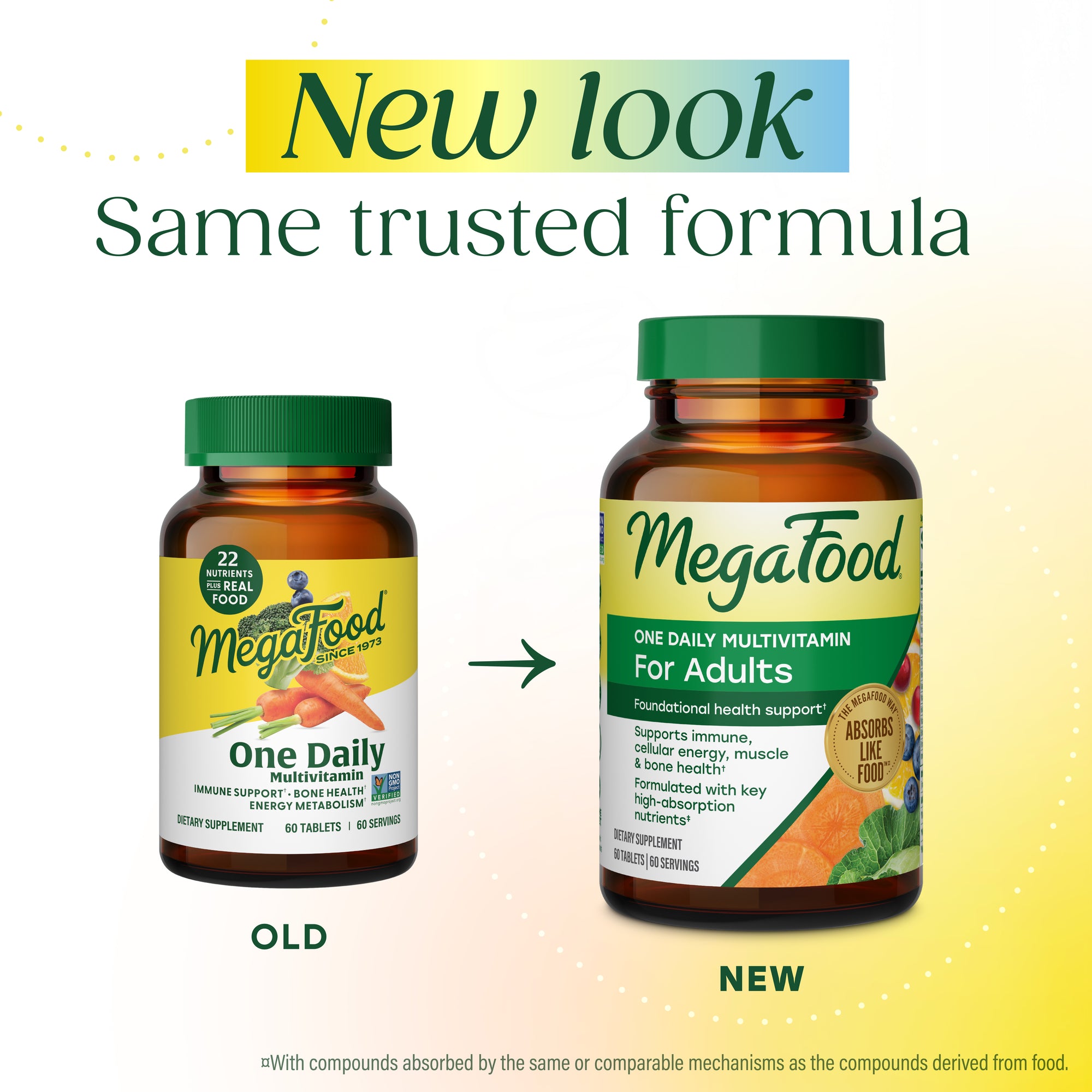 One Daily Multivitamin