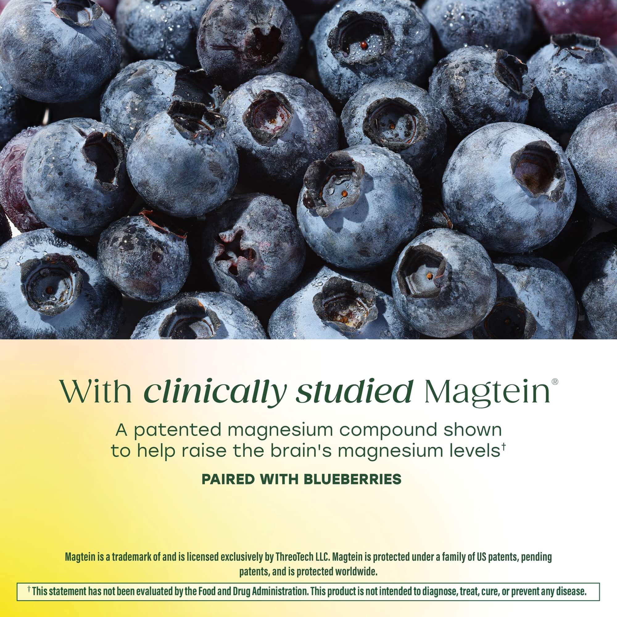 Magnesium L-Threonate with clinically studied Magtein