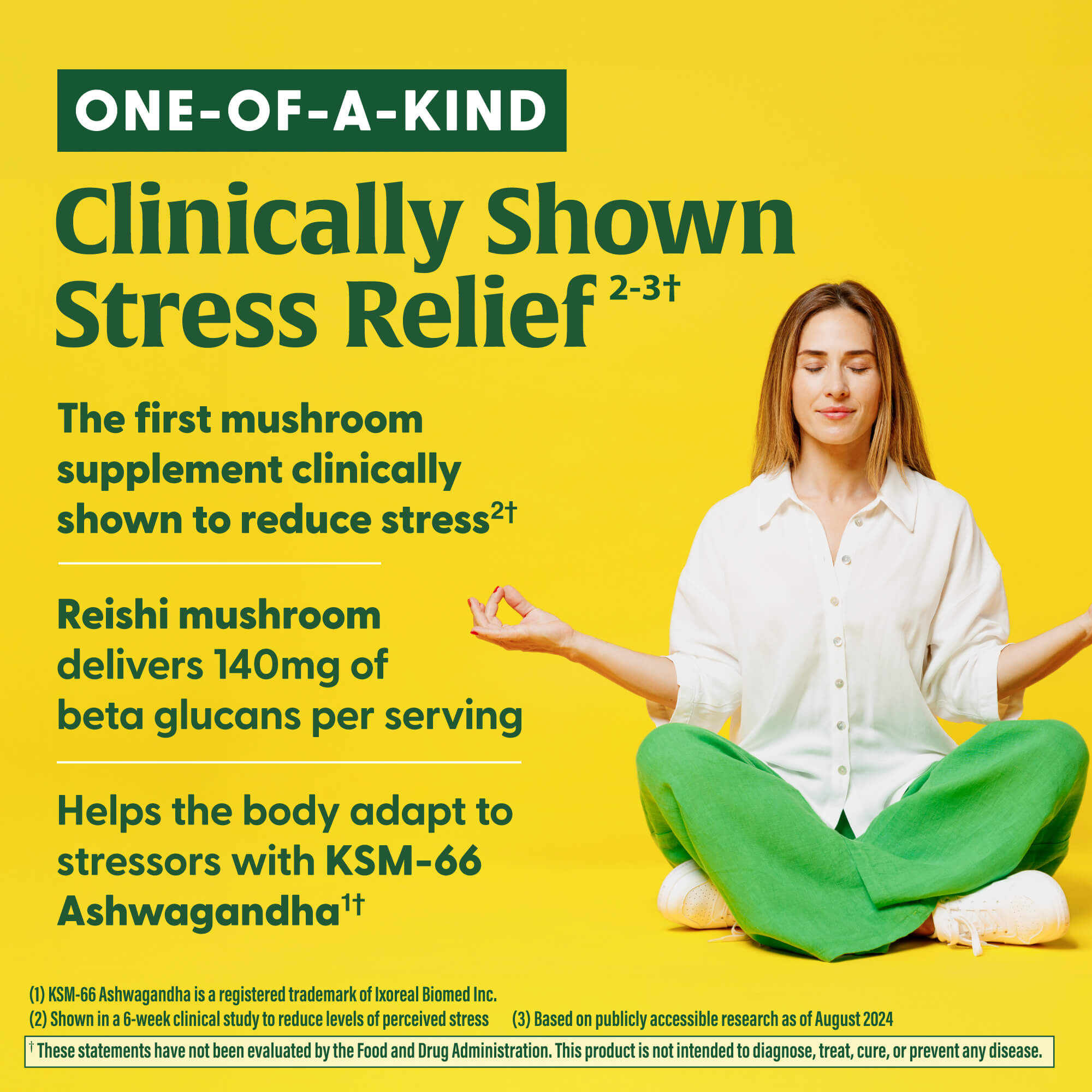 Superfood Mushroom Stress Relief™†