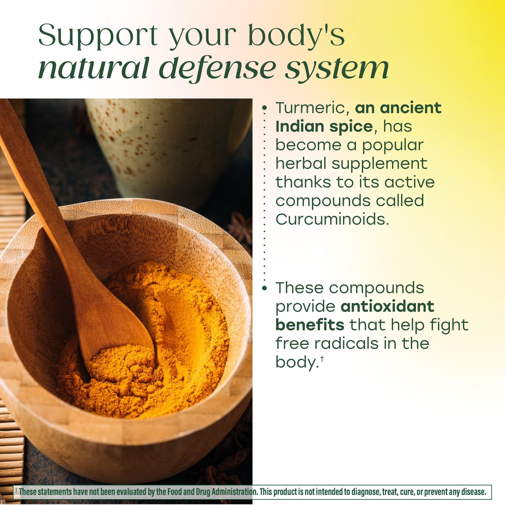Fast Acting Turmeric