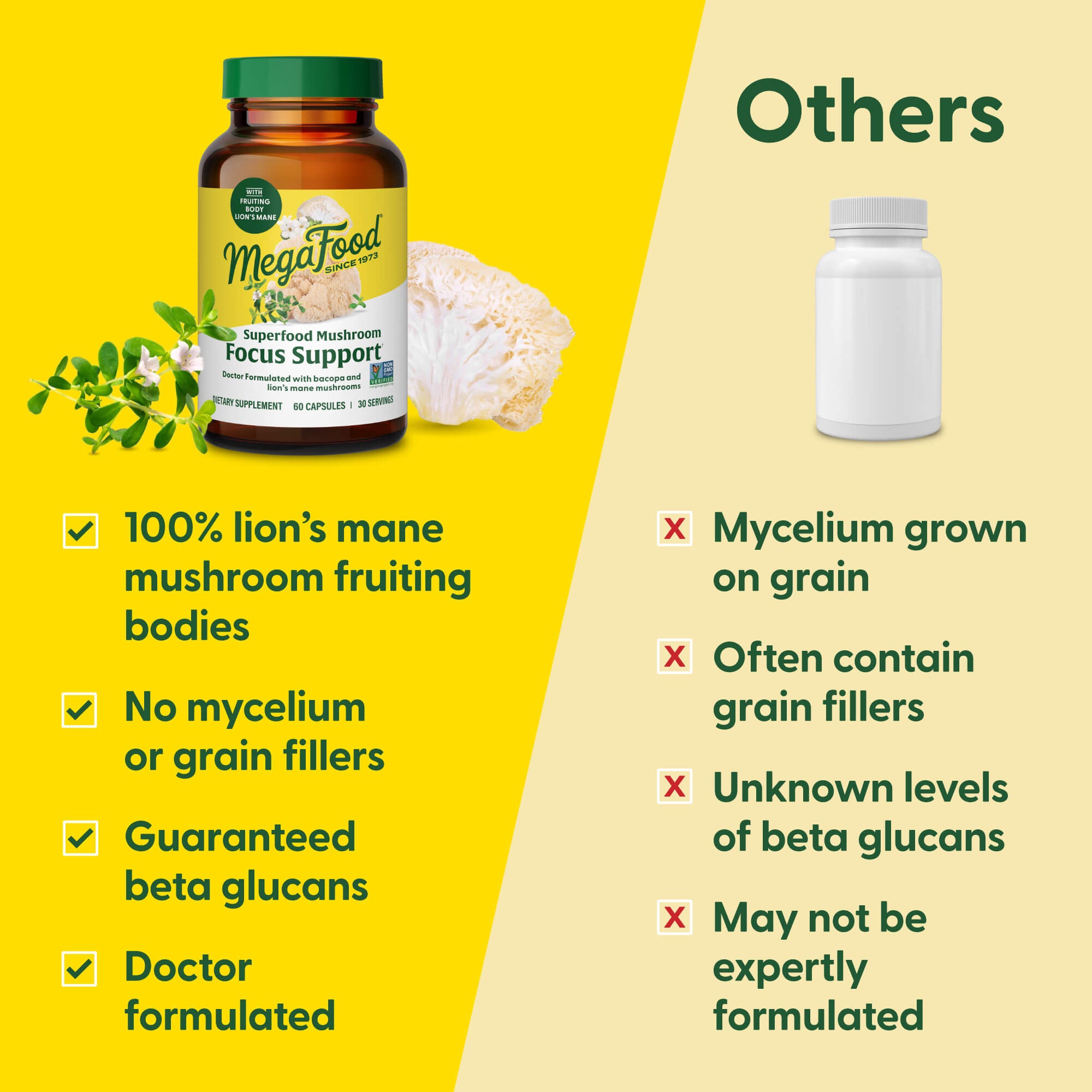 Superfood Mushroom Focus Support†